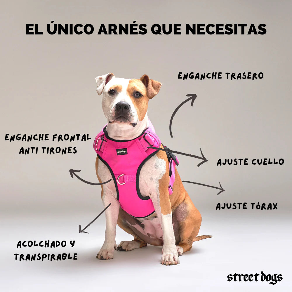 Street dog Arnés Comfort para Perros Turquesa