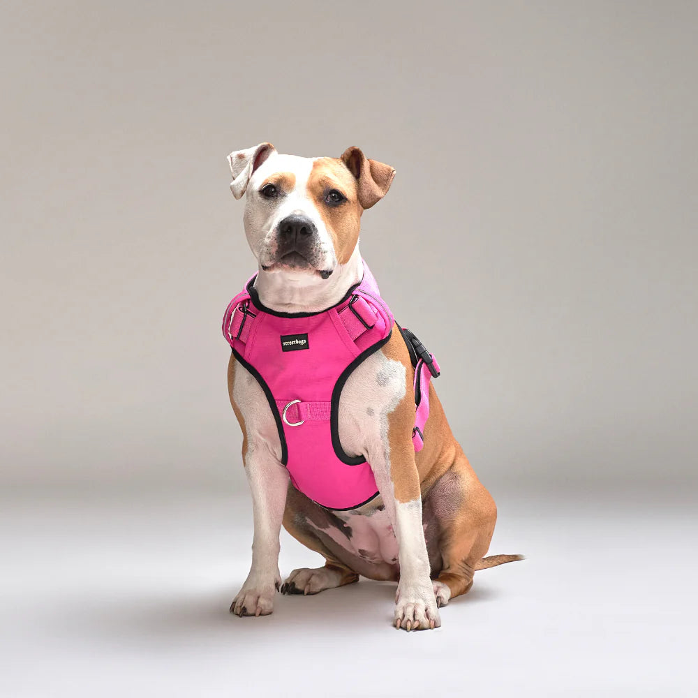 Streetdog Arnés Comfort para Perros Pink