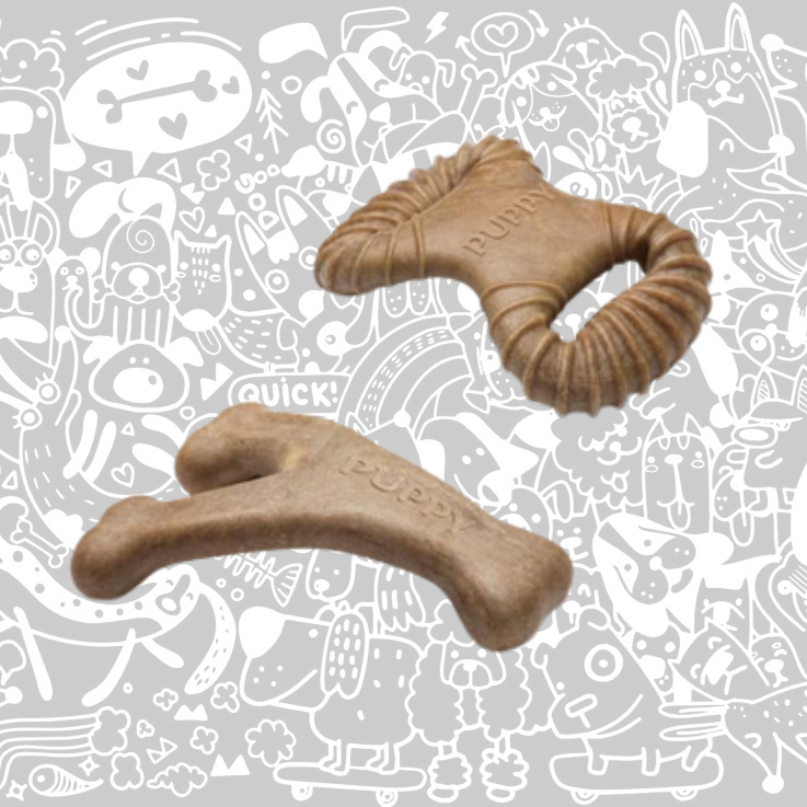 BENEBONE PUPPY 2 PACK BACON