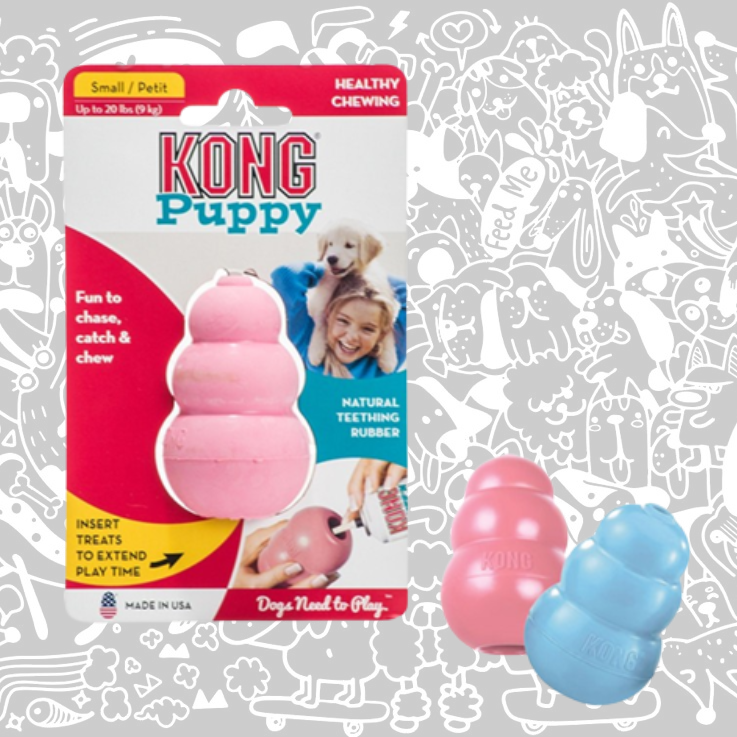 KONG PUPPY