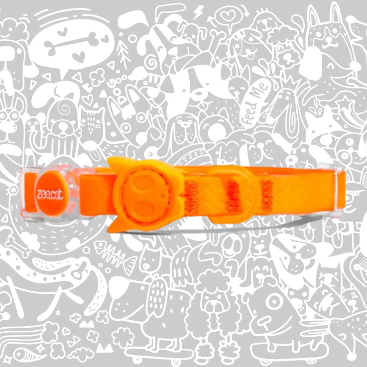ZEE.CAT NEOPRO TANGERINE COLLAR