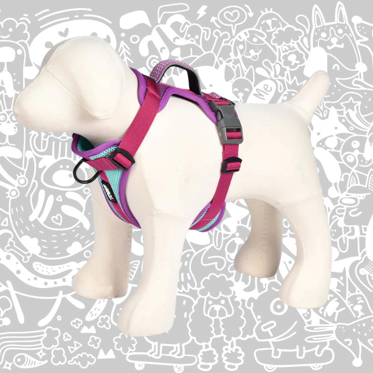 SHEEP DOGZ ARNES PUELO TRINAR ANDINO PICAFLOR DE ARICA