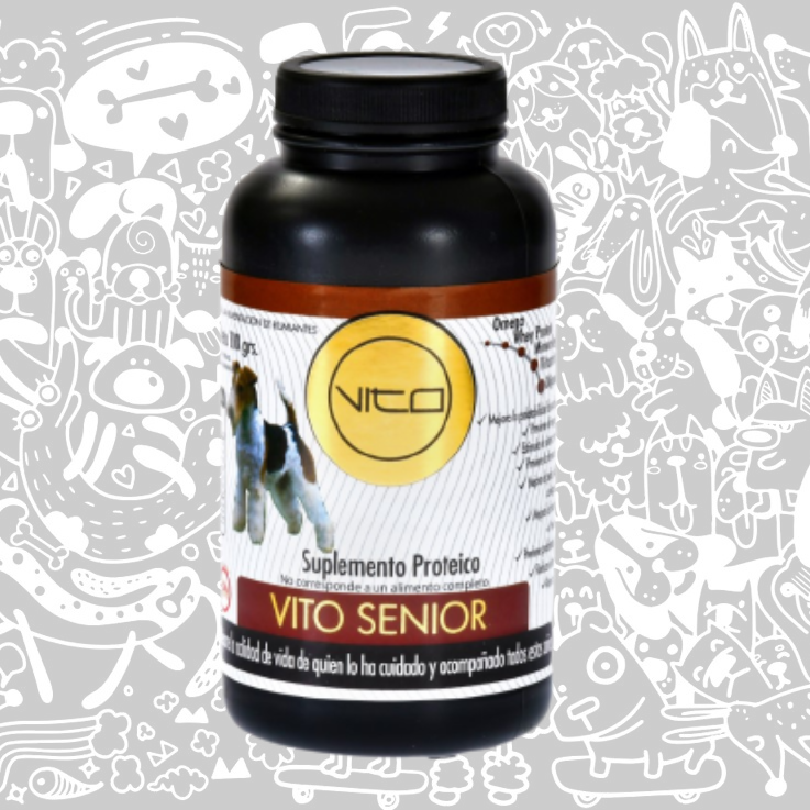 VITO SENIOR PERRO