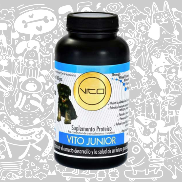 VITO JUNIOR PERRO