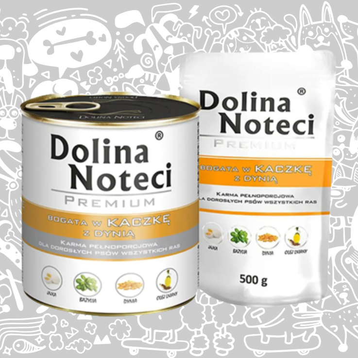 DOLINA NOTECI PATO CON CALABAZA