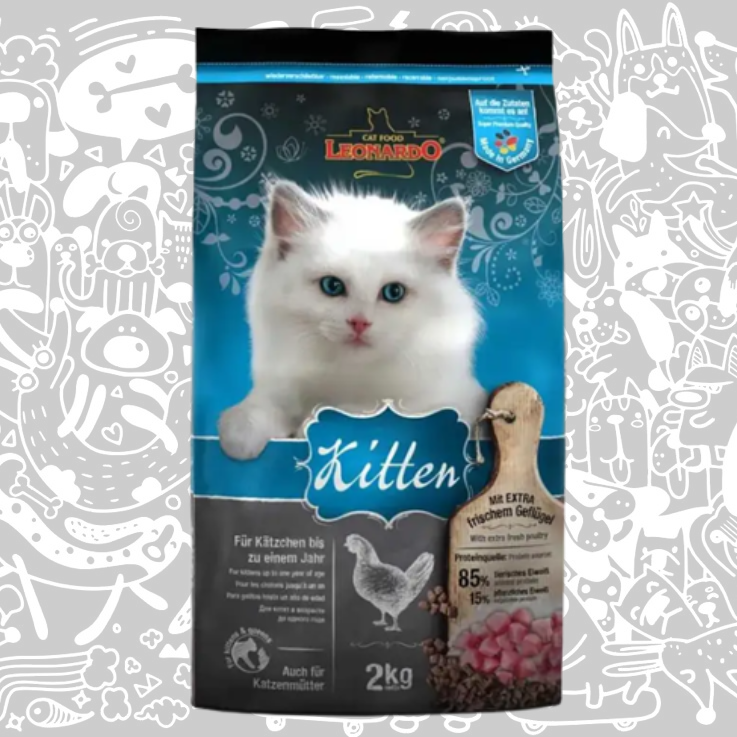 LEONARDO KITTEN