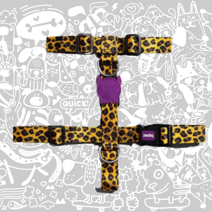 ZEE.DOG HONEY H HARNESS
