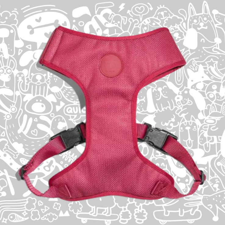 ZEE.DOG BORDEAU MESH PLUS HARNESS