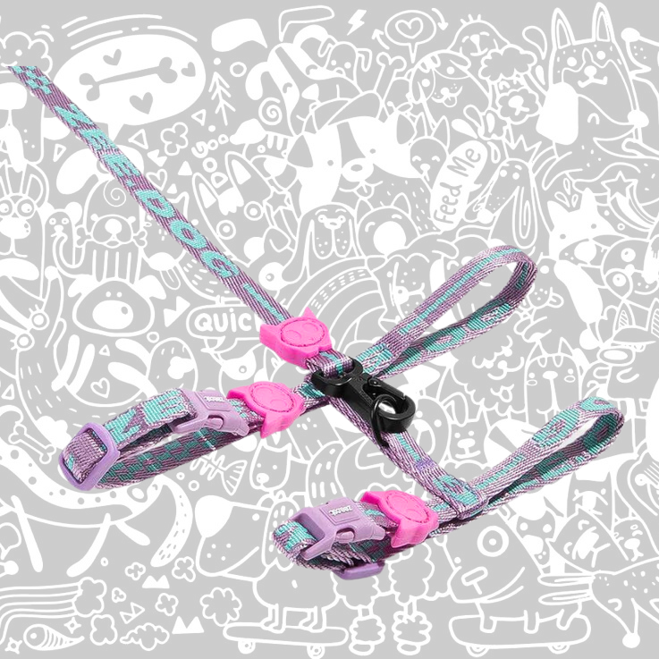 ZEE.CAT AURA HARNESS WITH LEASH