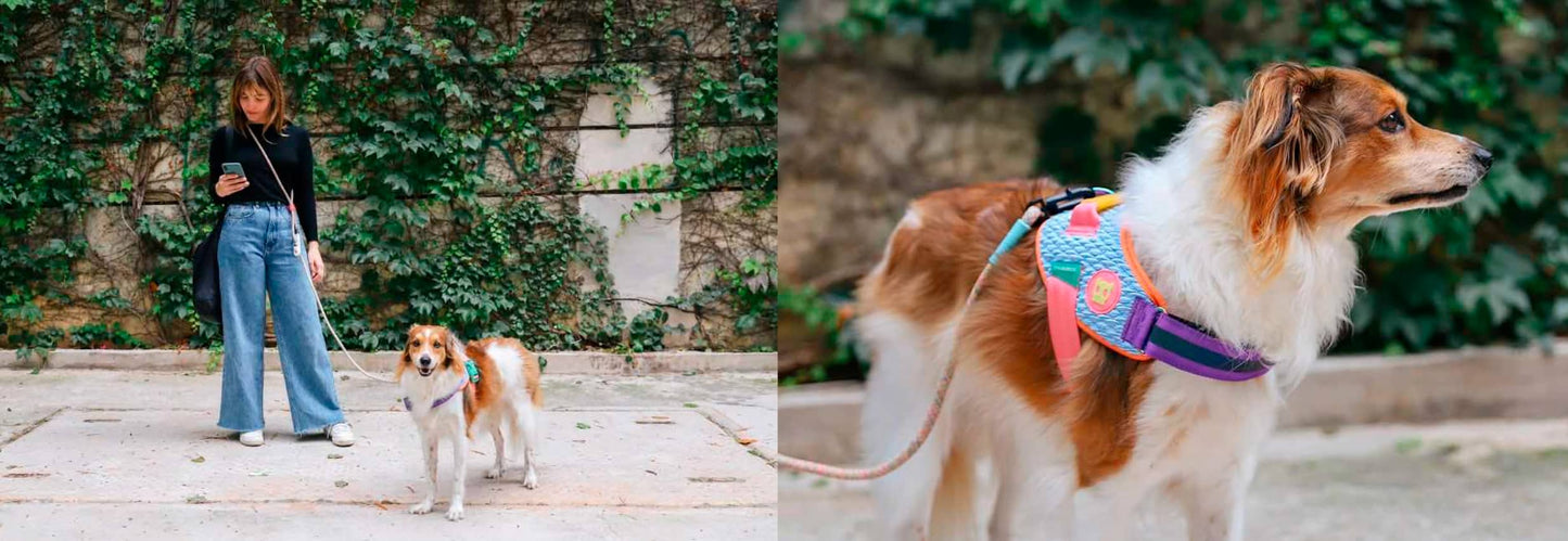 ZEE.DOG GALAXY FLYHARNESS