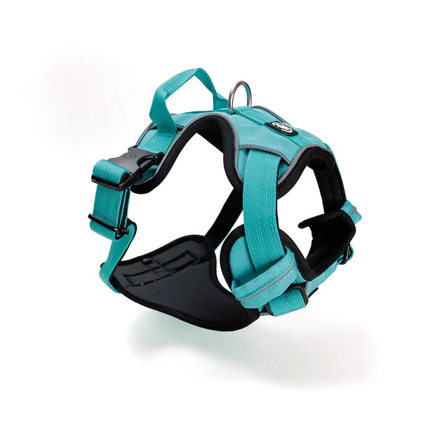 Street dog Arnés Comfort para Perros Turquesa