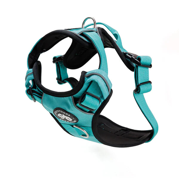 Street dog Arnés Comfort para Perros Turquesa