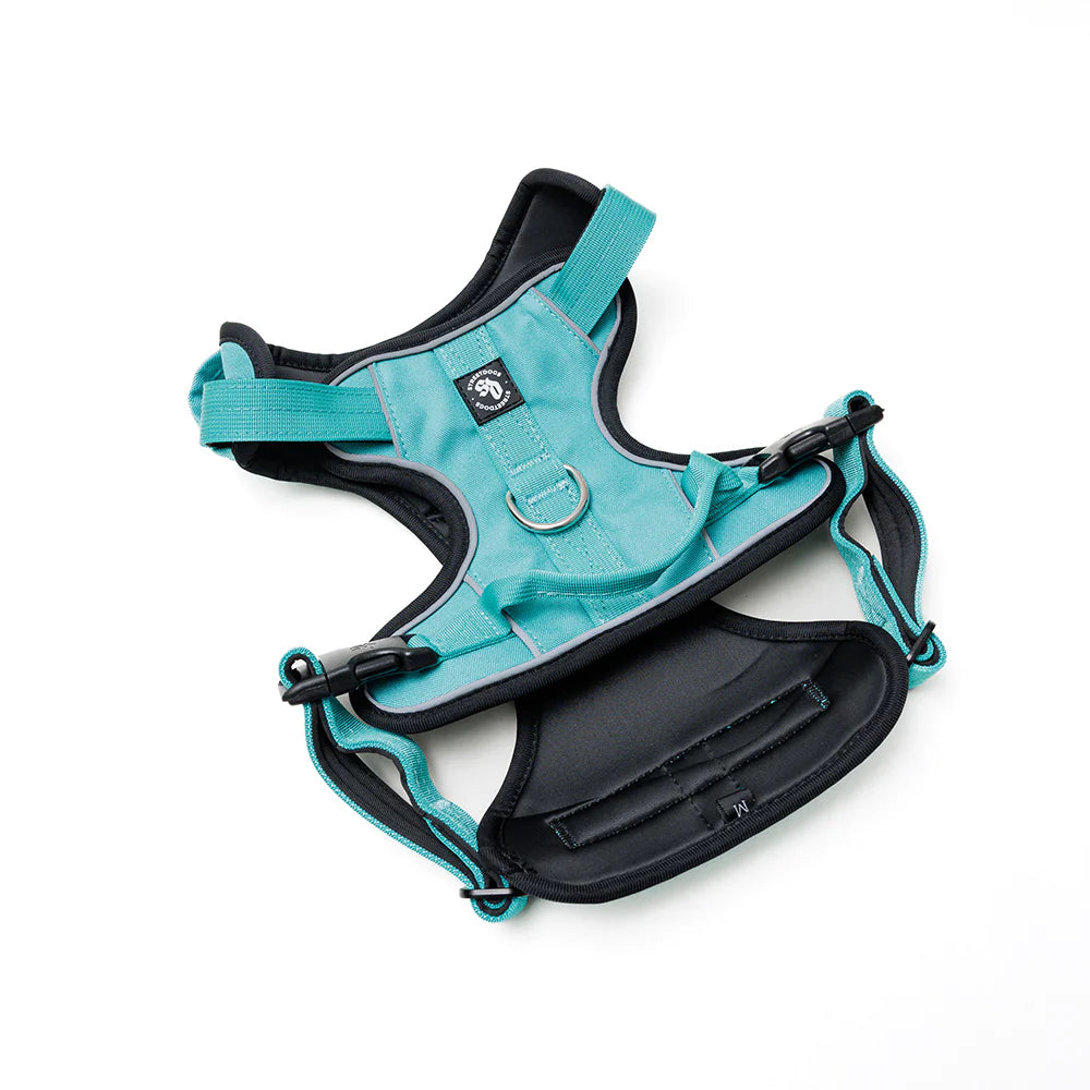 Street dog Arnés Comfort para Perros Turquesa