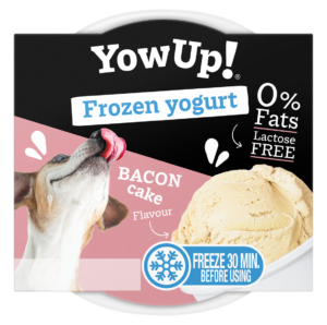 YOW UP! FROZEN YOGURT BACON CAKE