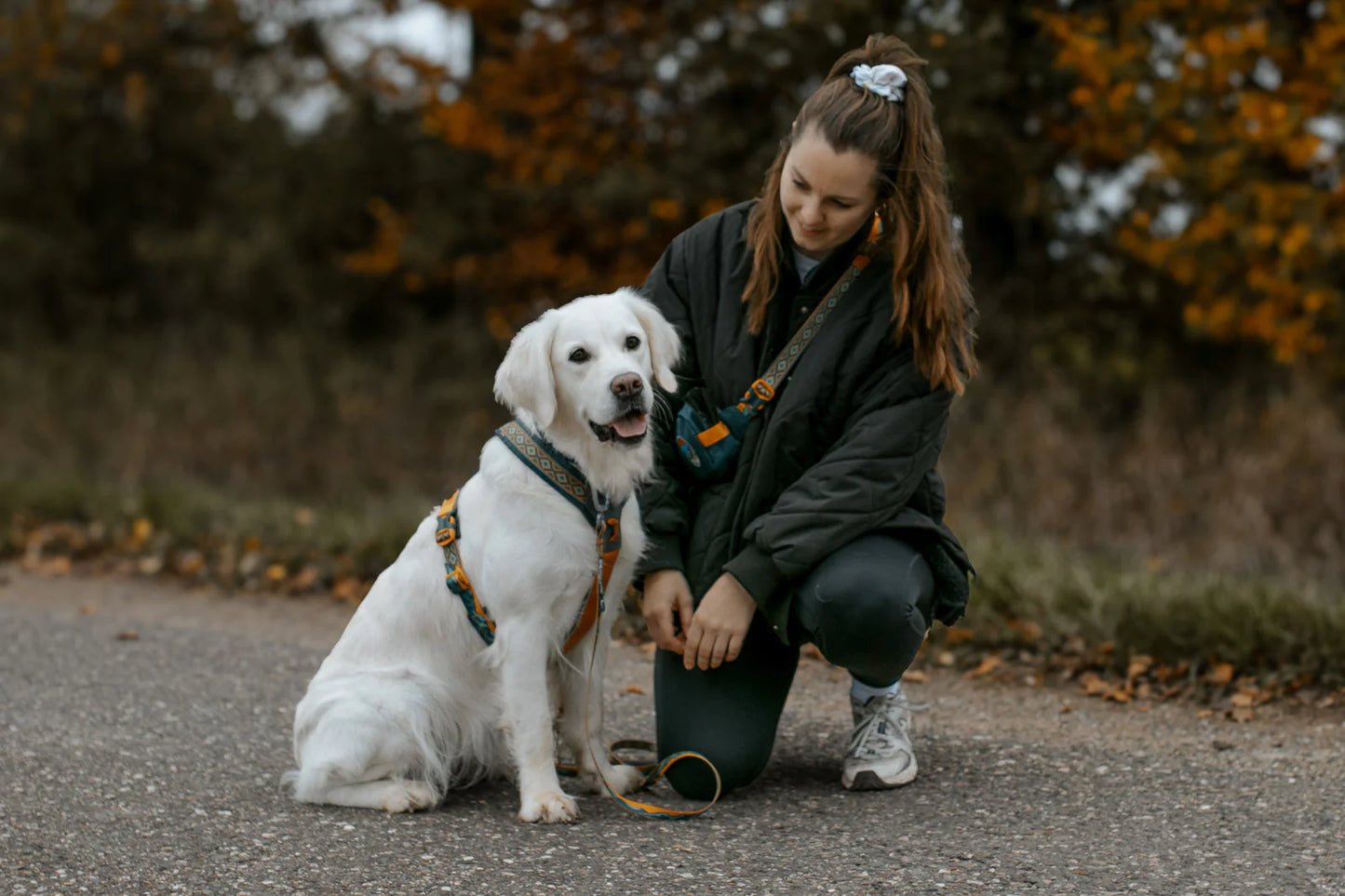 NON-STOP DOGWEAR LINE HARNESS 5.0 RACHEL POHL LTD