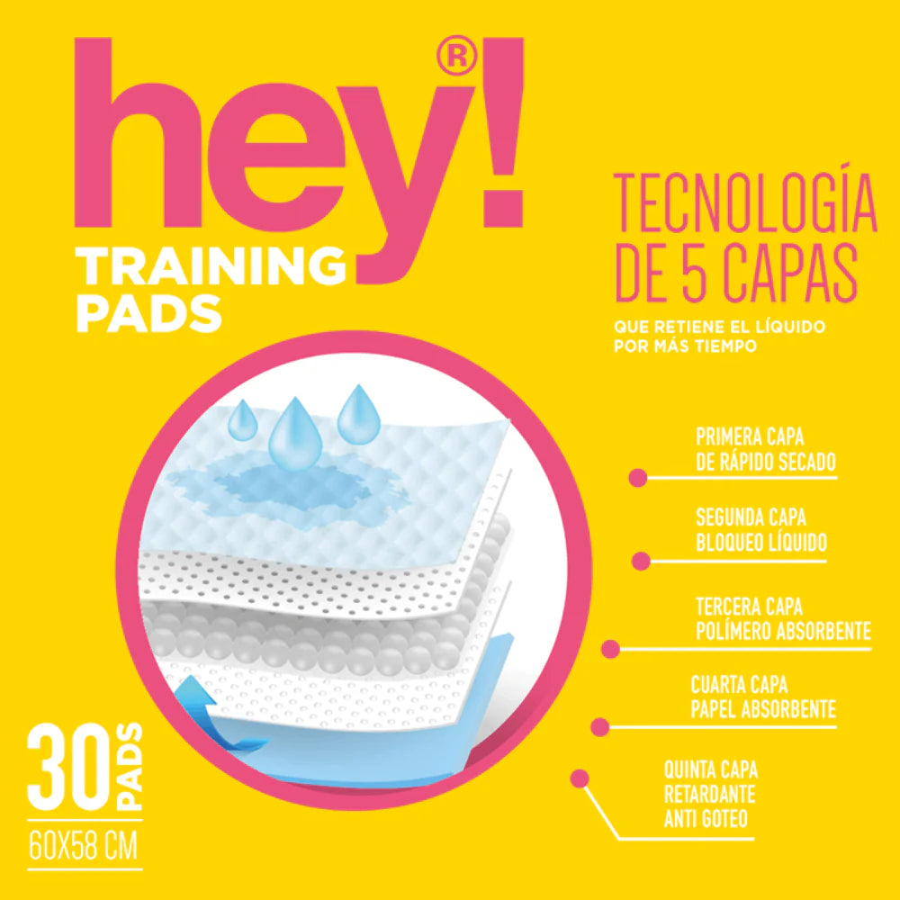 HEY! SABANILLAS 60 X 58 CM 30 UN