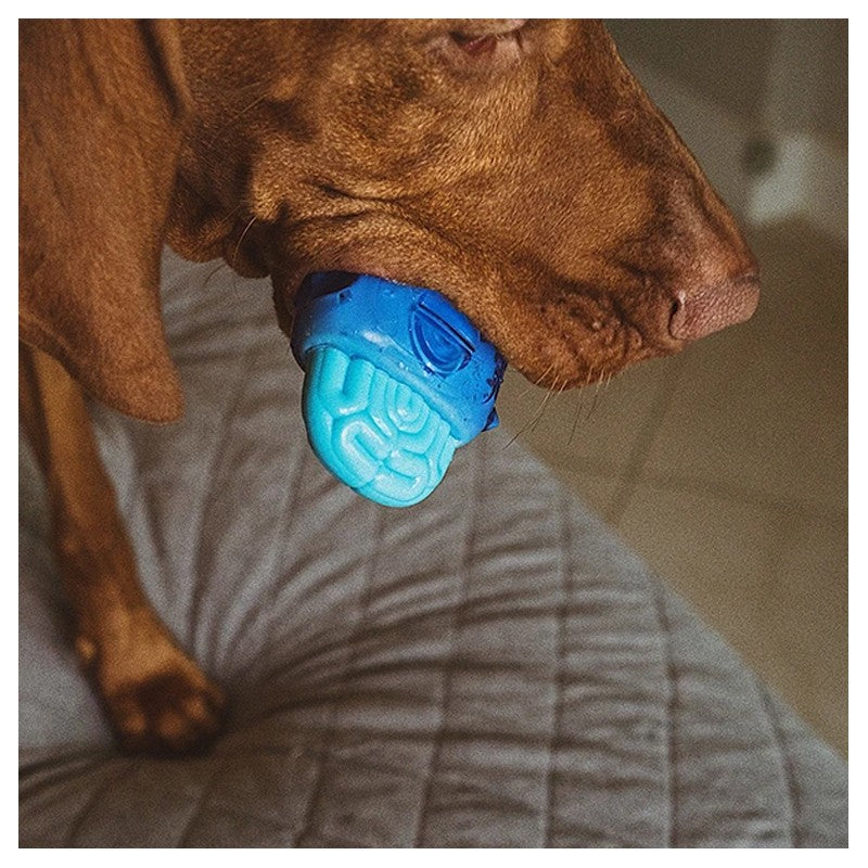 ZEE.DOG BRAIN FREEZE