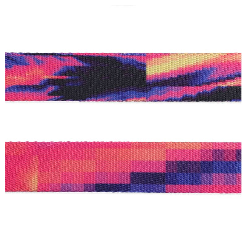 ZEE.DOG GLITCH ERROR 500 DOG LEASH