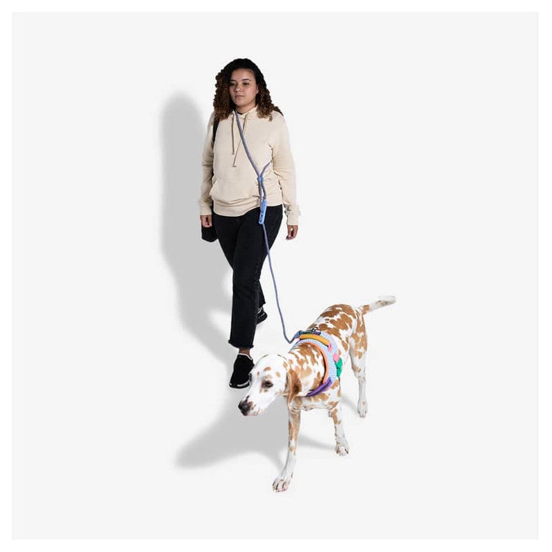 ZEE.DOG ANDROMEDA HANDSFREE LEASH