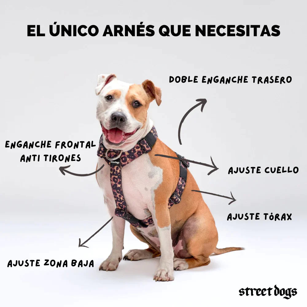 STREET DOGS ARNES STRAP