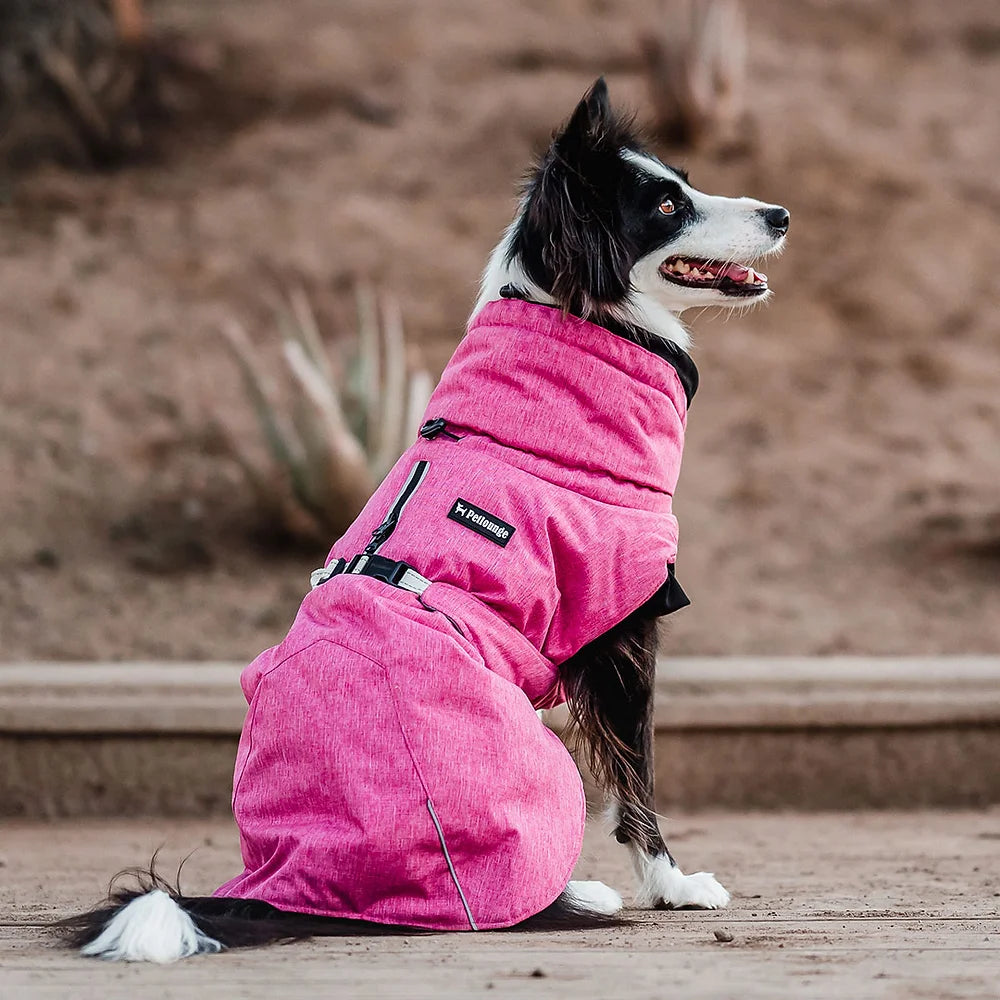 PETLOUNGE PARKA DRY AND COMFY