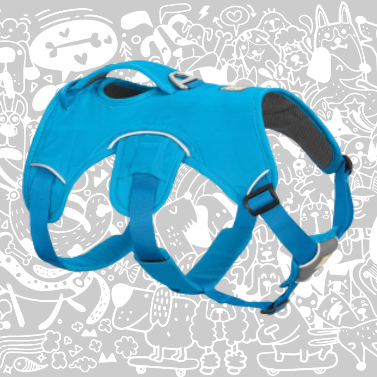 RUFFWEAR WEB MASTER DOG HARNESS