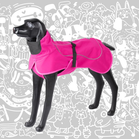 SHEEP DOGZ CHAQUETA WINDHOOK