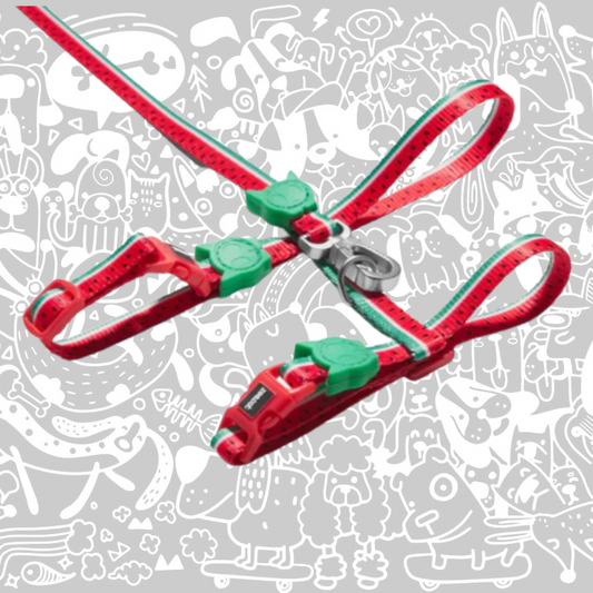 ZEE.CAT LOLA HARNESS WITH LEASH