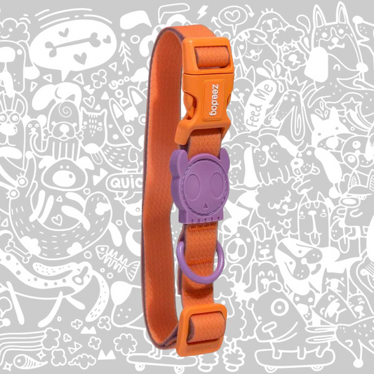 ZEE.DOG NEOPRO IRIS COLLAR