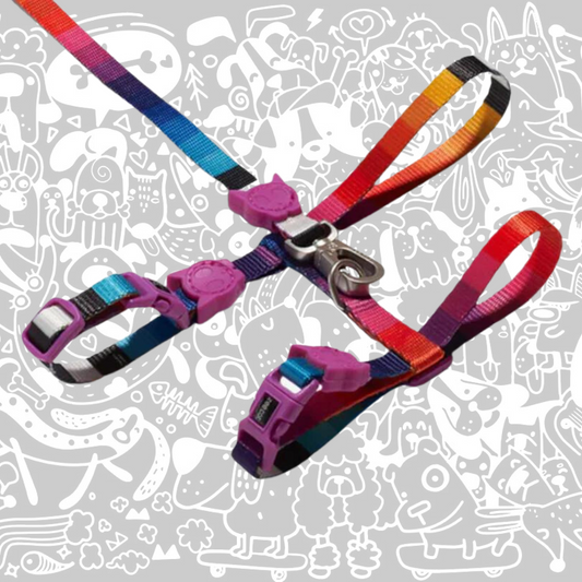ZEE.CAT PRISMA HARNESS WITH LEASH
