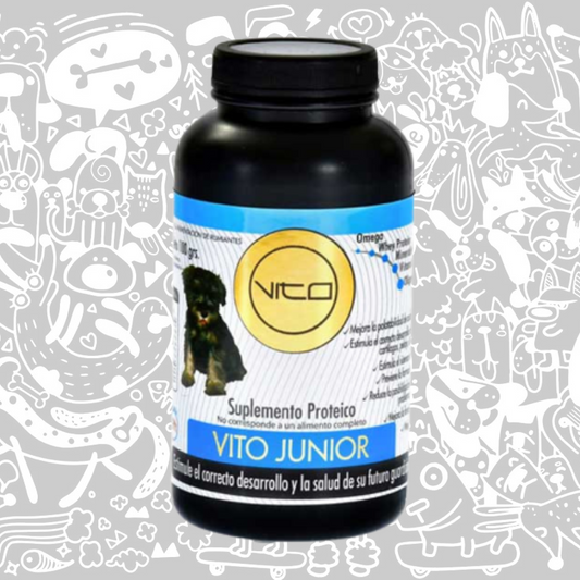 VITO JUNIOR PERRO