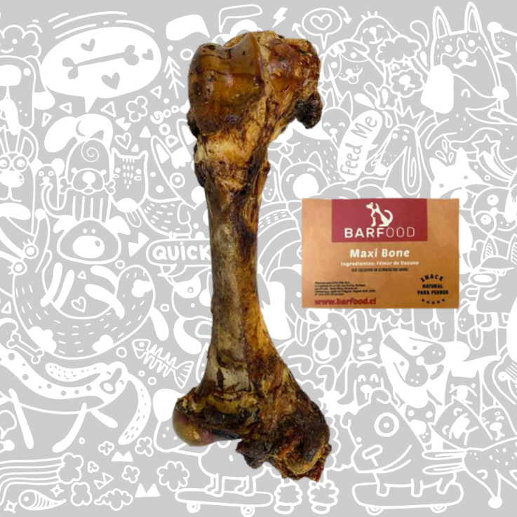 BARFOOD MAXI BONE (FEMUR DE VACUNO)