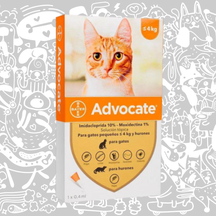 ADVOCATE PIPETA GATO 0-4 KG