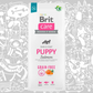 BRIT CARE GF PUPPY SALMON