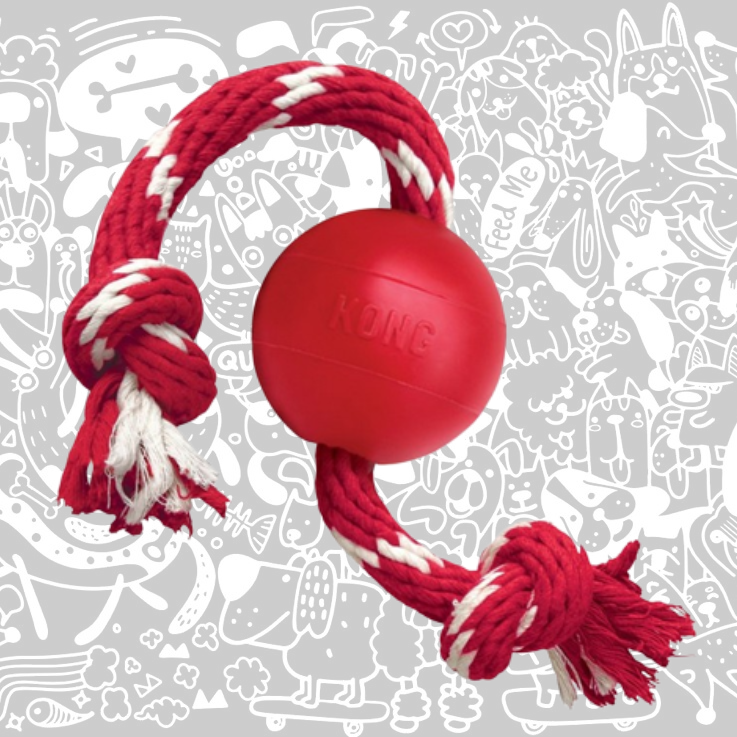 KONG BALL WITH ROPE