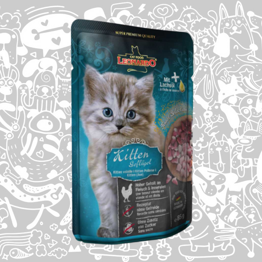 LEONARDO POUCH KITTEN AVE