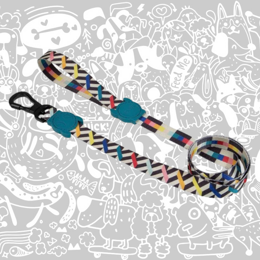 ZEE.DOG FRITZ LEASH