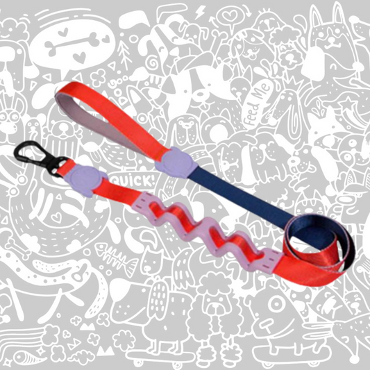 ZEE.DOG GENIE RUFF LEASH