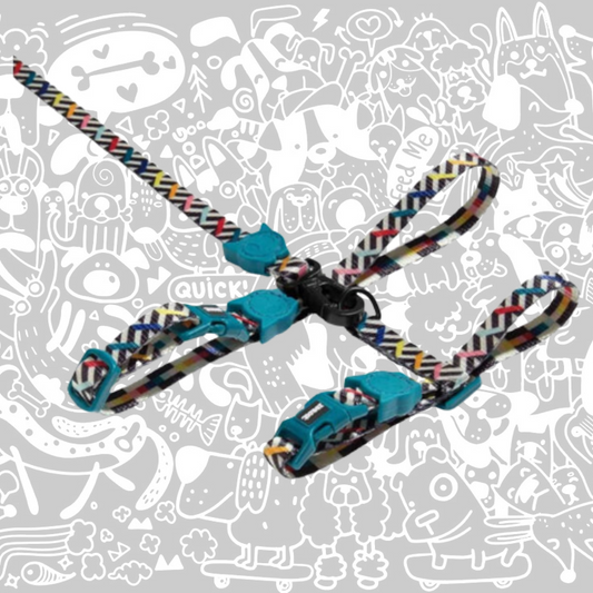 ZEE.CAT FRITZ HARNESS WITH LEASH