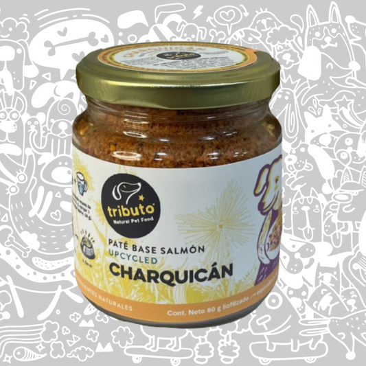 TRIBUTO PATE CHARQUICAN