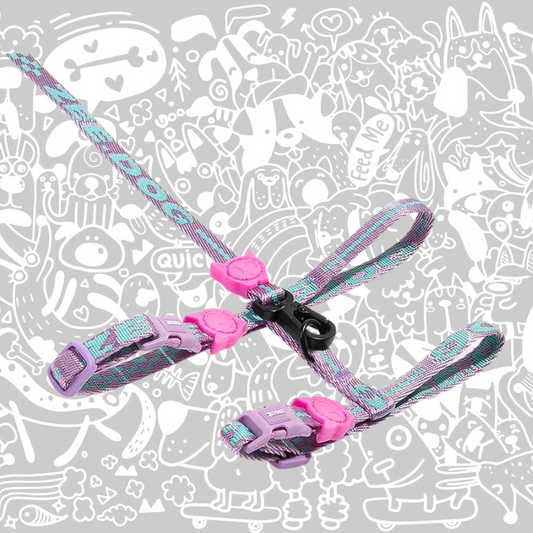 ZEE.CAT AURA HARNESS WITH LEASH