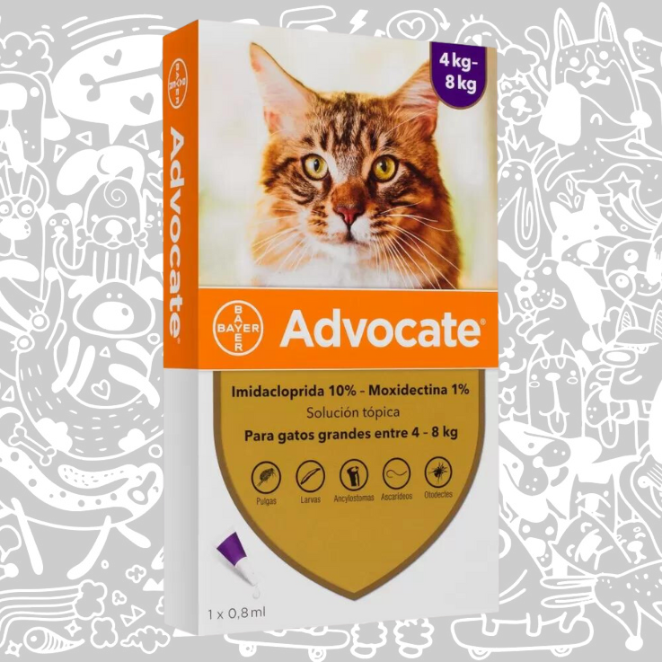 ADVOCATE PIPETA GATO 4-8 KG