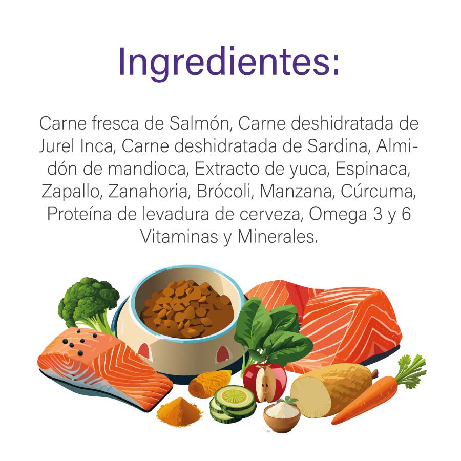 BARFOOD PERRO SALMON RAZAS MEDIANAS Y GRANDES