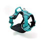 Street dog Arnés Comfort para Perros Turquesa
