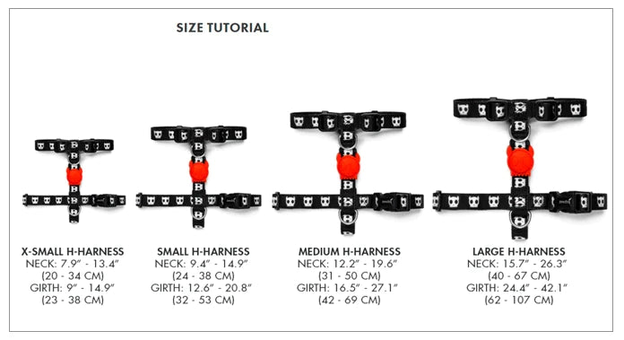 ZEE.DOG BLAST H HARNESS