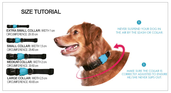 ZEE.DOG BLISS COLLAR