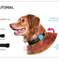 ZEE.DOG LOLA COLLAR