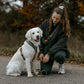 NON-STOP DOGWEAR LINE HARNESS 5.0 RACHEL POHL LTD