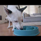 OUTWARD HOUND COMEDERO LENTO AZUL