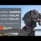NON-STOP DOGWEAR RAMBLE HARNESS